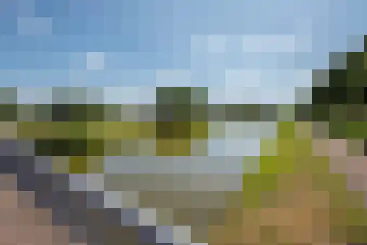 Schrabber 52 Den Haag thumbnail 34