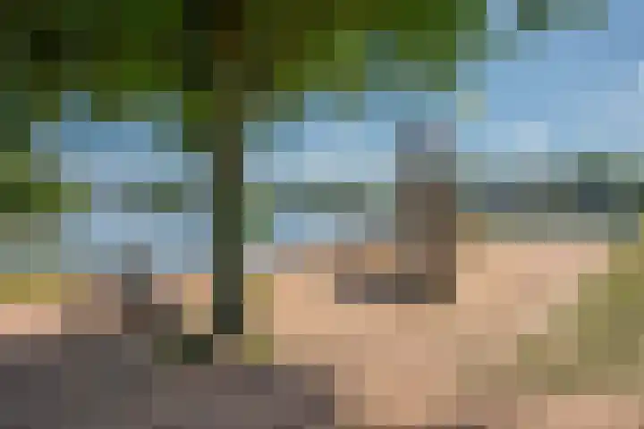 Schrabber 52 Den Haag thumbnail 35