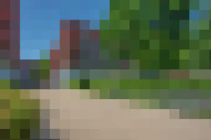 Schrabber 52 Den Haag thumbnail 41