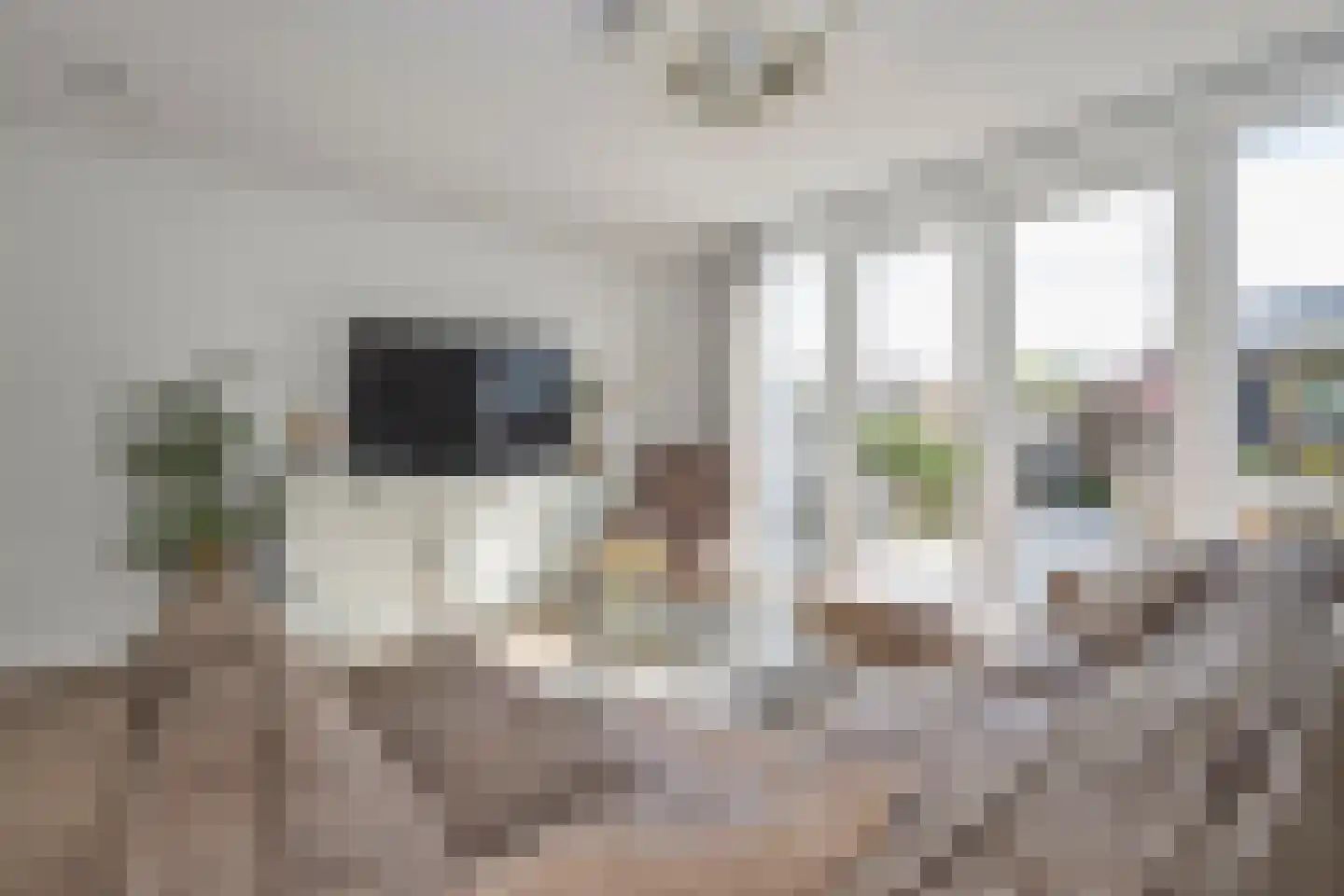 Schramweide 3 Woubrugge thumbnail 20