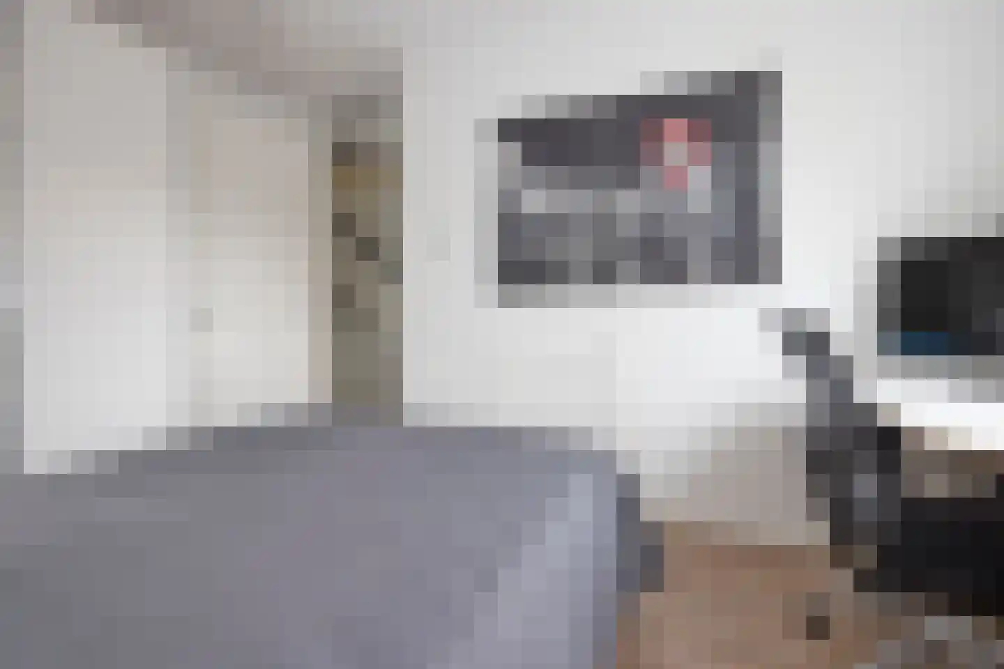 Schramweide 3 Woubrugge thumbnail 36