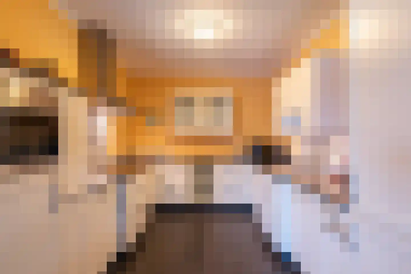Schrans 11 6 Castelre thumbnail 20