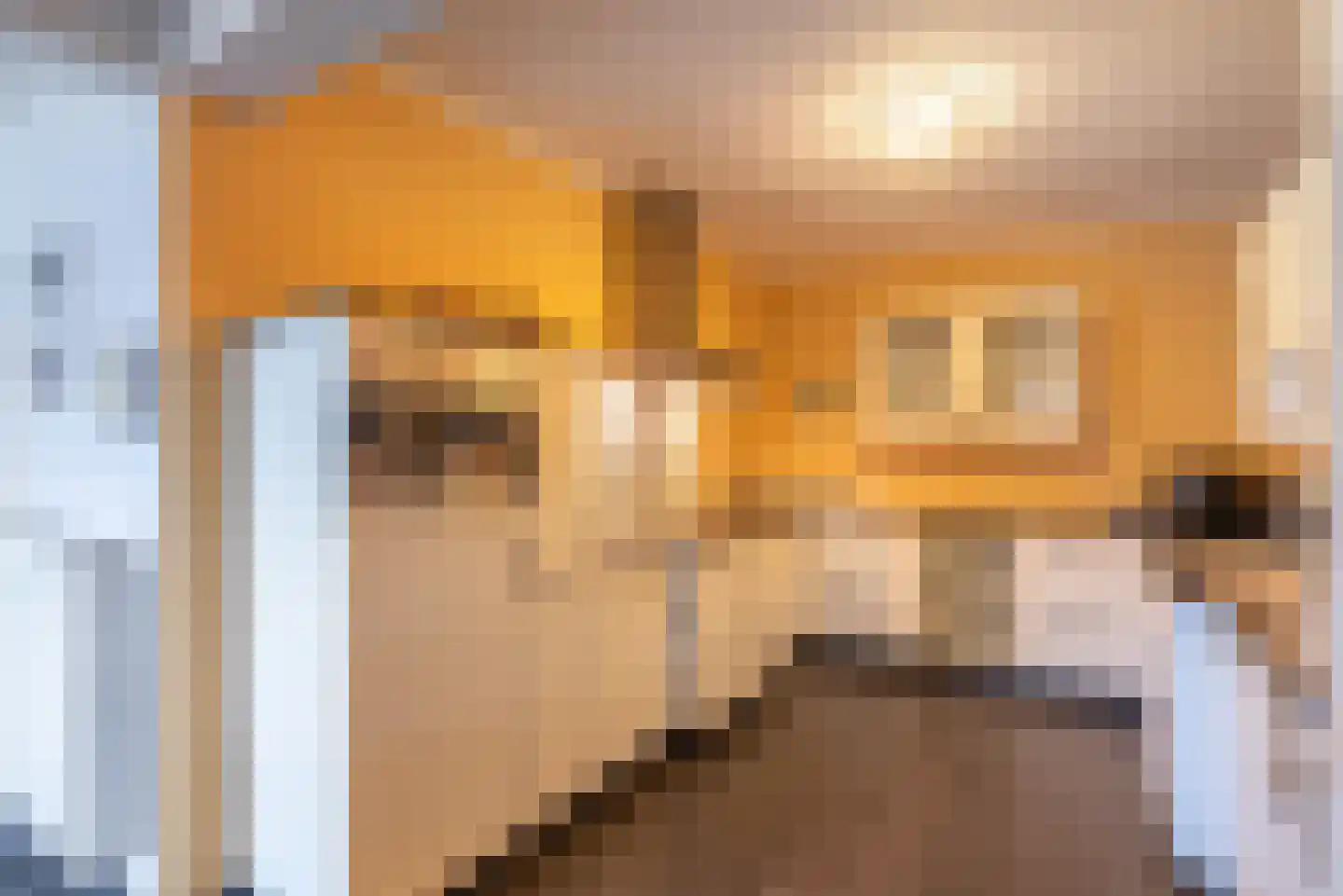 Schrans 11 6 Castelre thumbnail 21