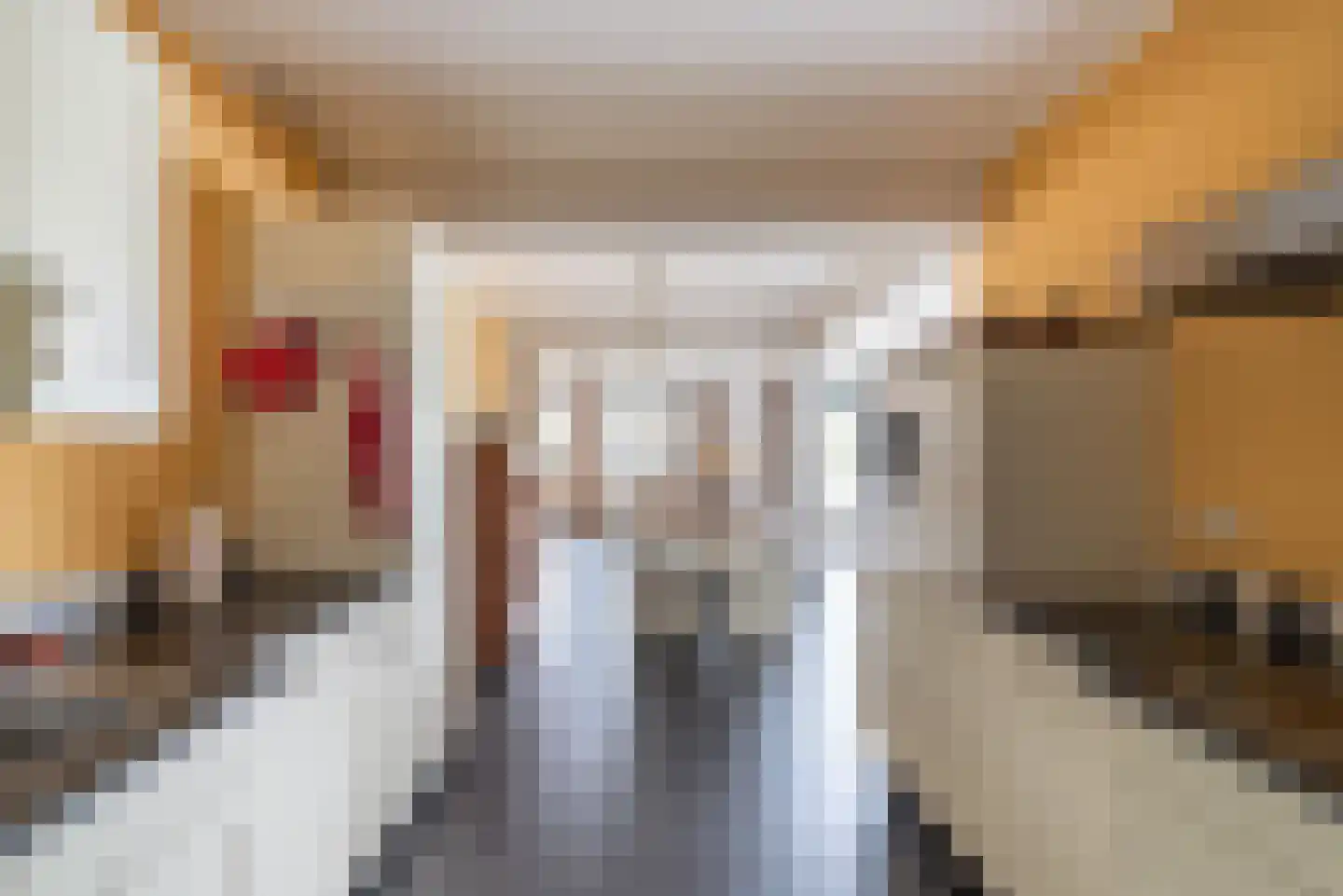 Schrans 11 6 Castelre thumbnail 22