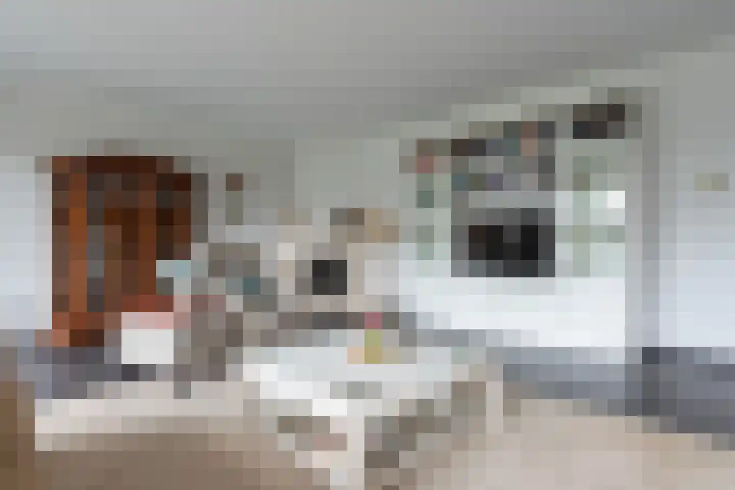 Schrans 11 6 Castelre thumbnail 28