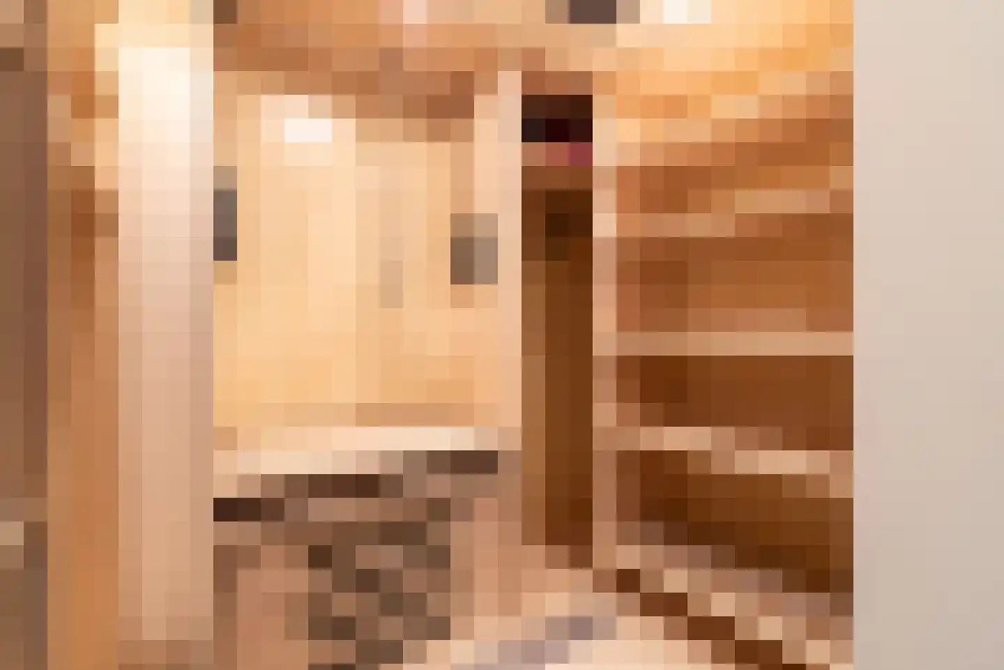 Schrans 11 6 Castelre thumbnail 5