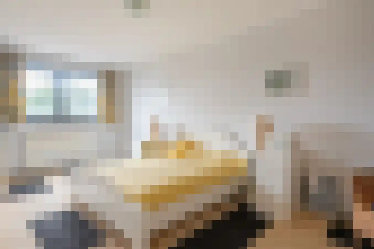 Schrans 11 6 Castelre thumbnail 9