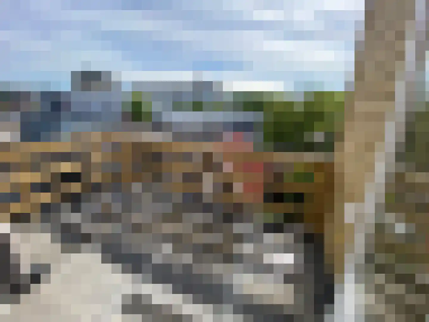 Schrans 143 Leeuwarden thumbnail 12