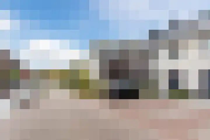 Schrappaardje 12 Best thumbnail 31