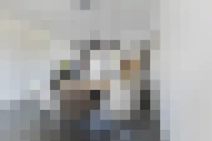 Schrappaardje 2 Best thumbnail 10