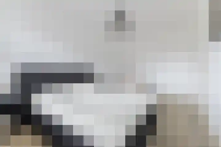 Schrappaardje 2 Best thumbnail 16