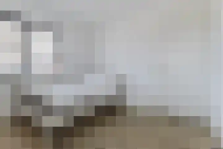 Schrappaardje 2 Best thumbnail 17