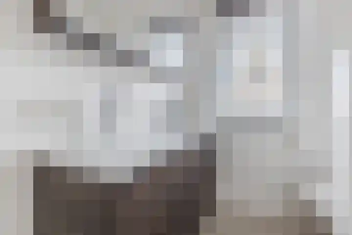 Schrappaardje 2 Best thumbnail 20