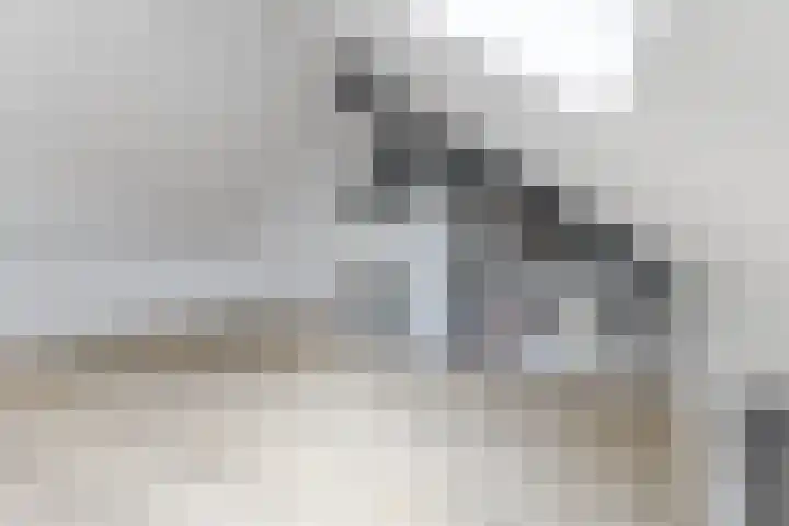 Schrappaardje 2 Best thumbnail 23