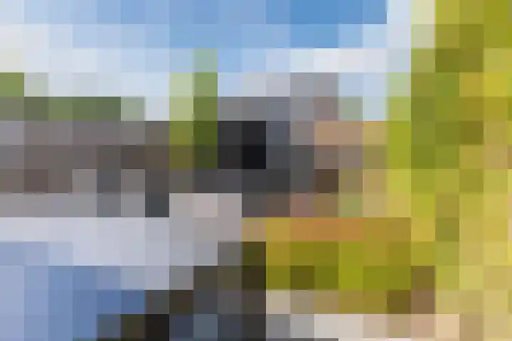 Schrappaardje 2 Best thumbnail 28