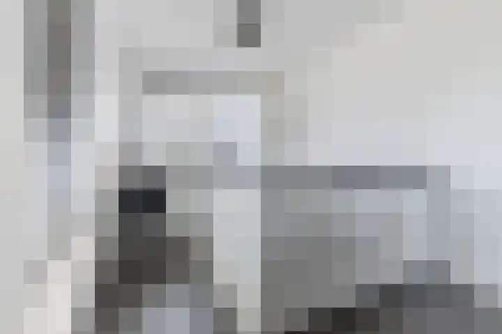 Schrappaardje 2 Best foto 3