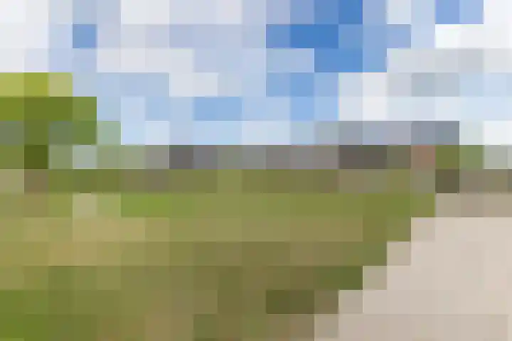 Schrappaardje 2 Best thumbnail 30