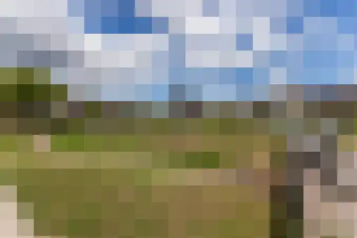 Schrappaardje 2 Best thumbnail 31