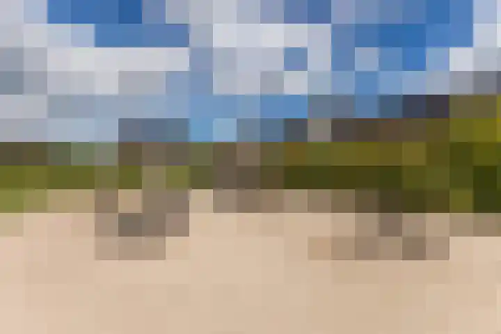 Schrappaardje 2 Best thumbnail 32