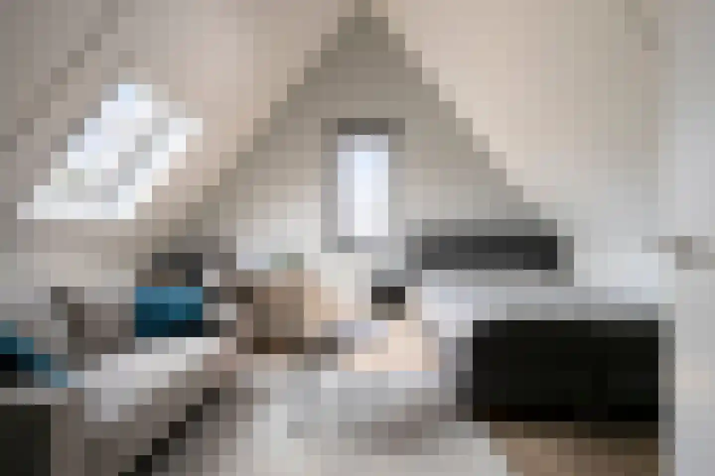 Schrappaardje 20 Best thumbnail 40