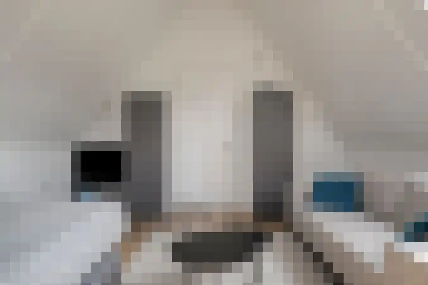 Schrappaardje 20 Best thumbnail 42