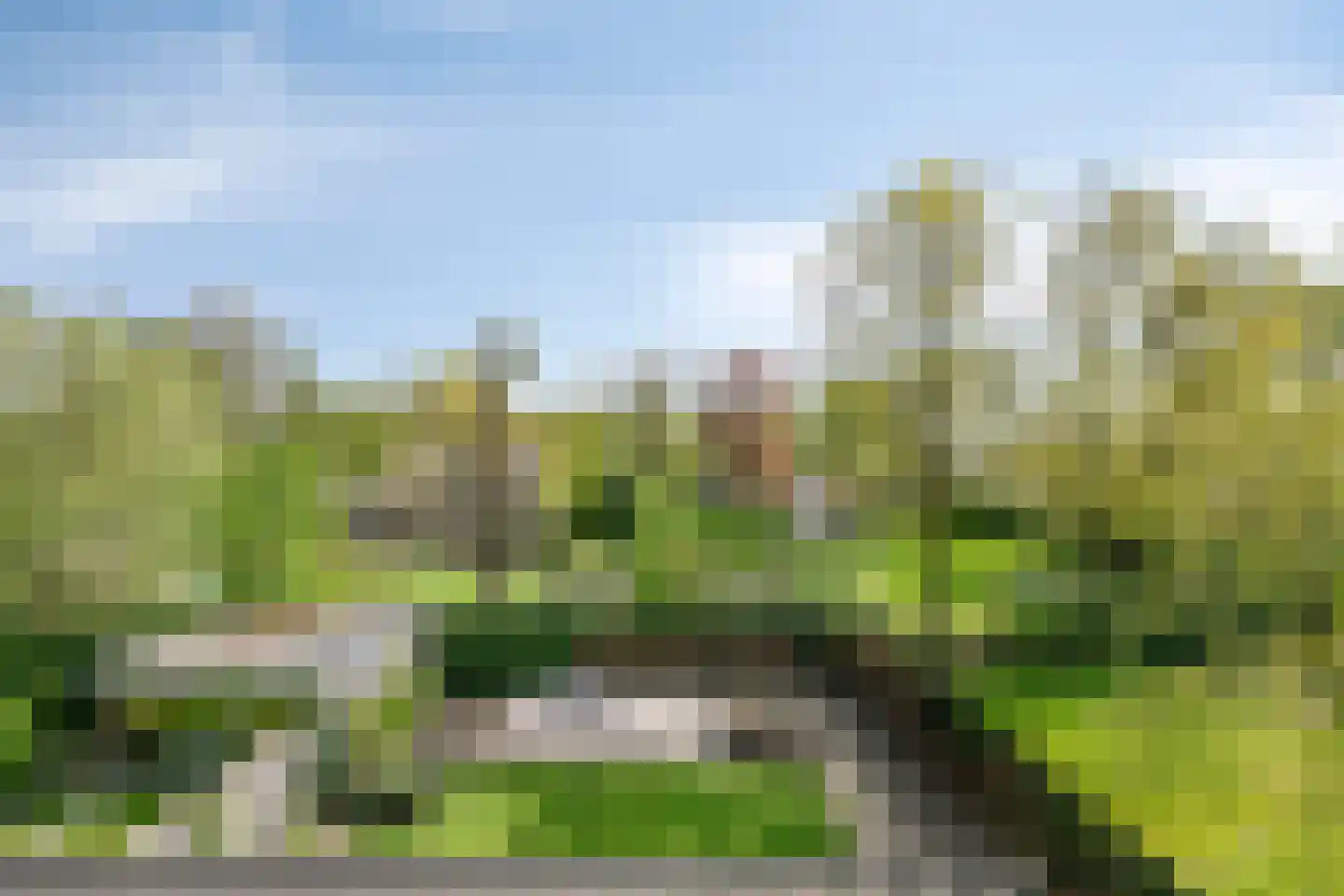 Schrappaardje 20 Best thumbnail 45