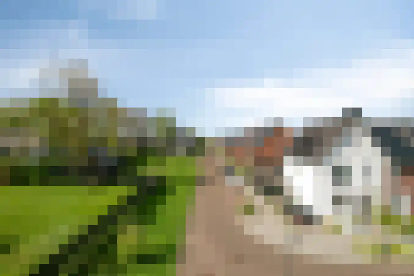 Schrappaardje 20 Best thumbnail 46