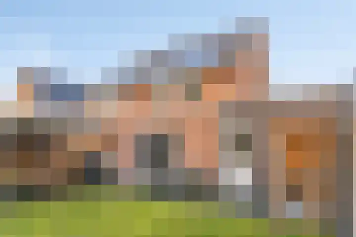Schrappaardje 24 Best thumbnail 28