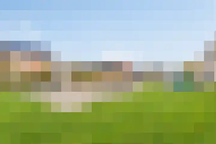 Schrappaardje 24 Best thumbnail 33