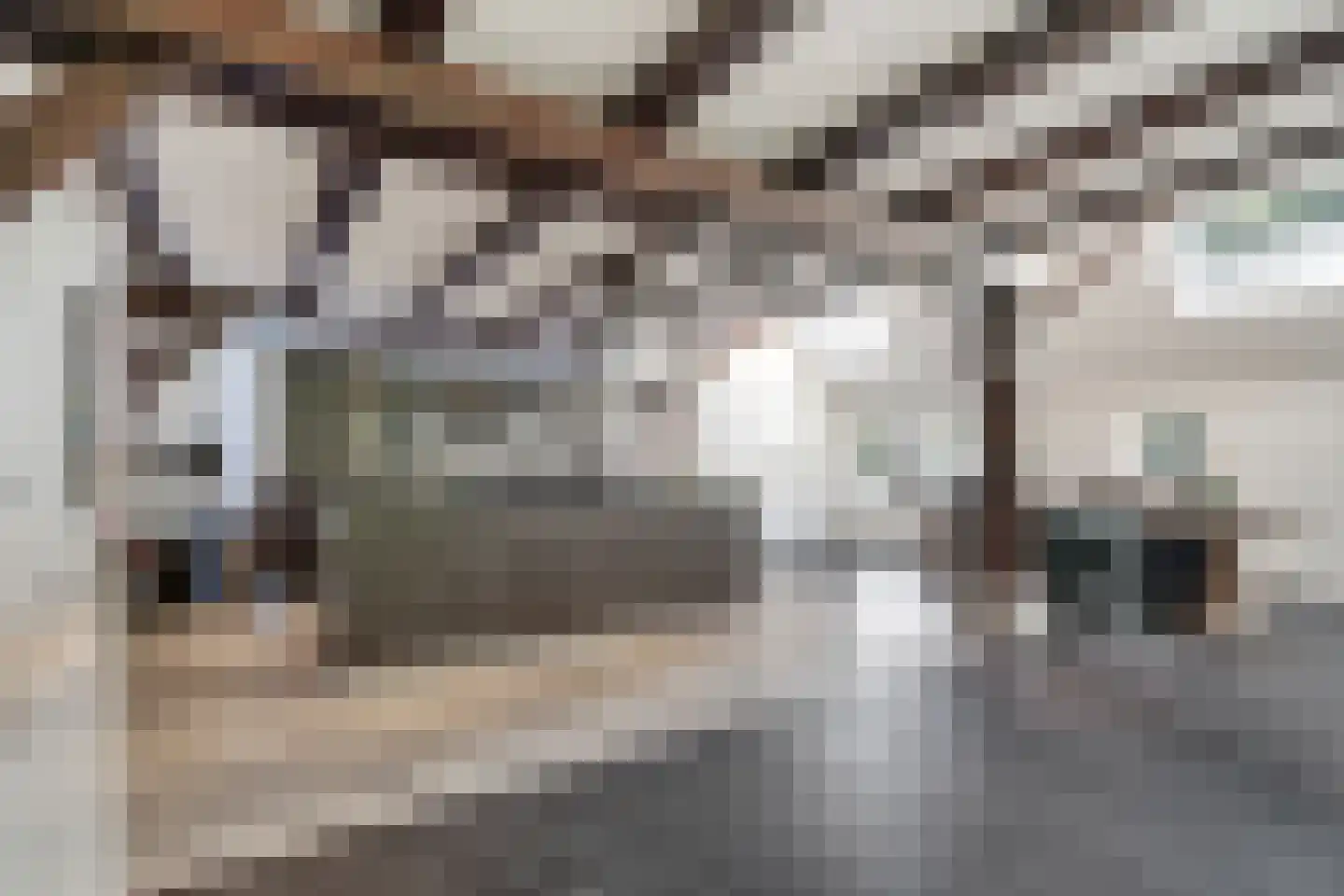 Schrapveen 14 Linde thumbnail 11
