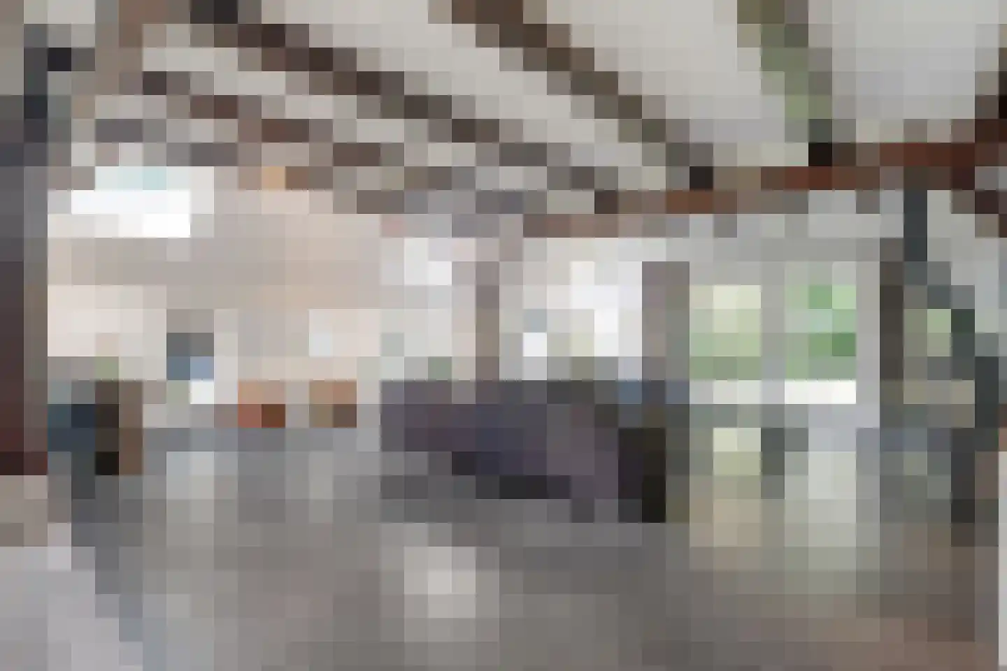 Schrapveen 14 Linde thumbnail 12