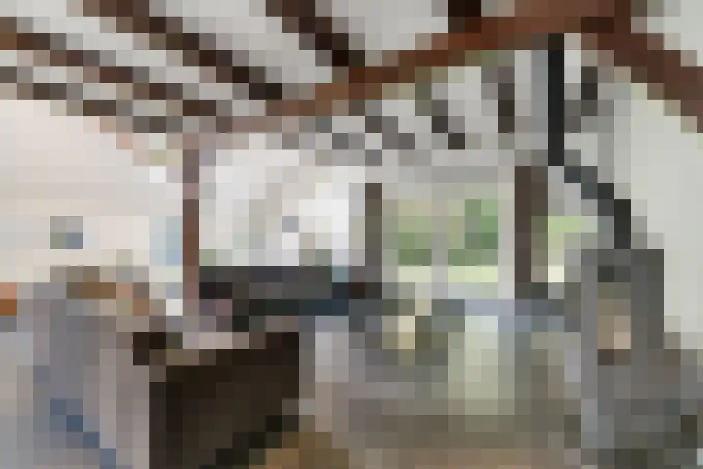 Schrapveen 14 Linde thumbnail 13