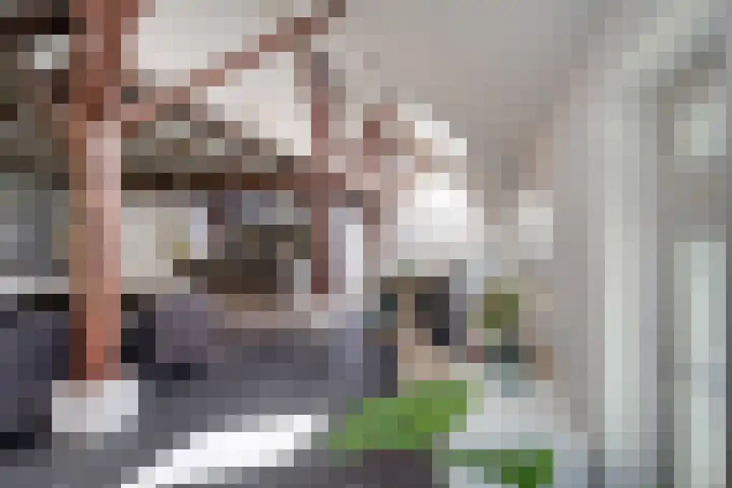 Schrapveen 14 Linde thumbnail 16