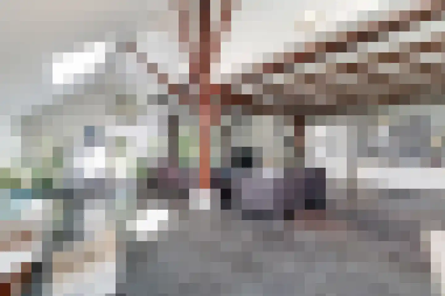 Schrapveen 14 Linde thumbnail 17