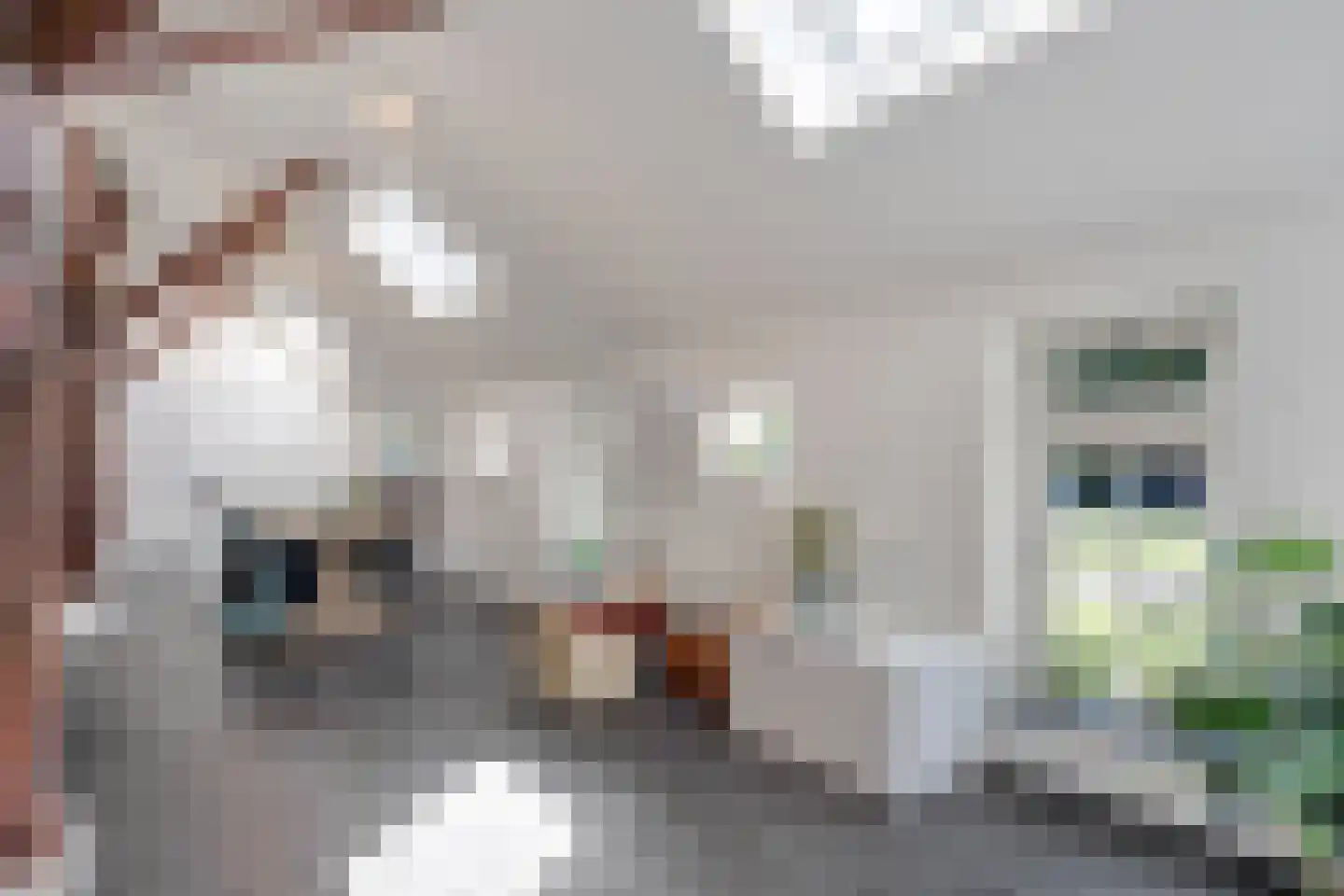 Schrapveen 14 Linde thumbnail 18