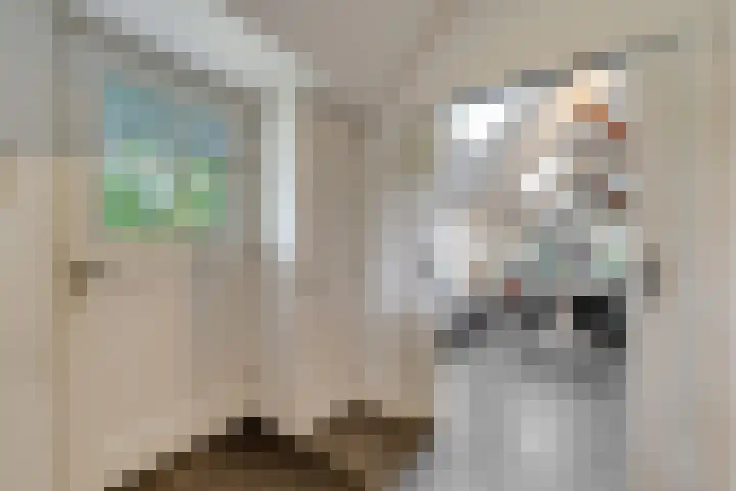 Schrapveen 14 Linde thumbnail 22