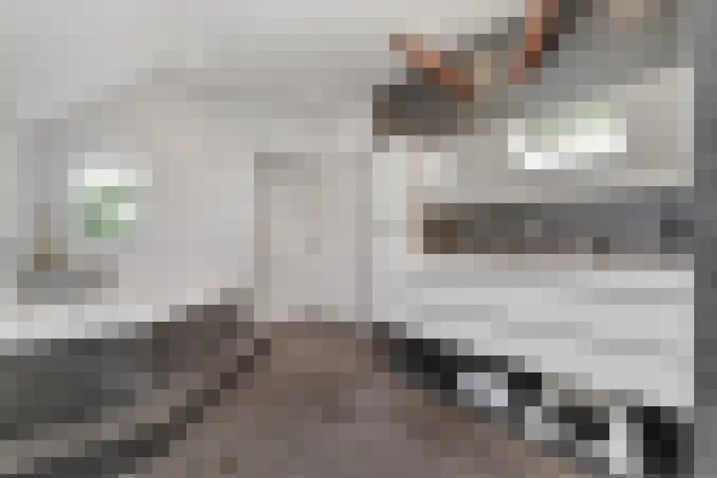 Schrapveen 14 Linde thumbnail 26