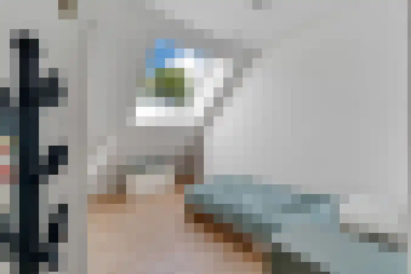 Schrapveen 14 Linde thumbnail 28