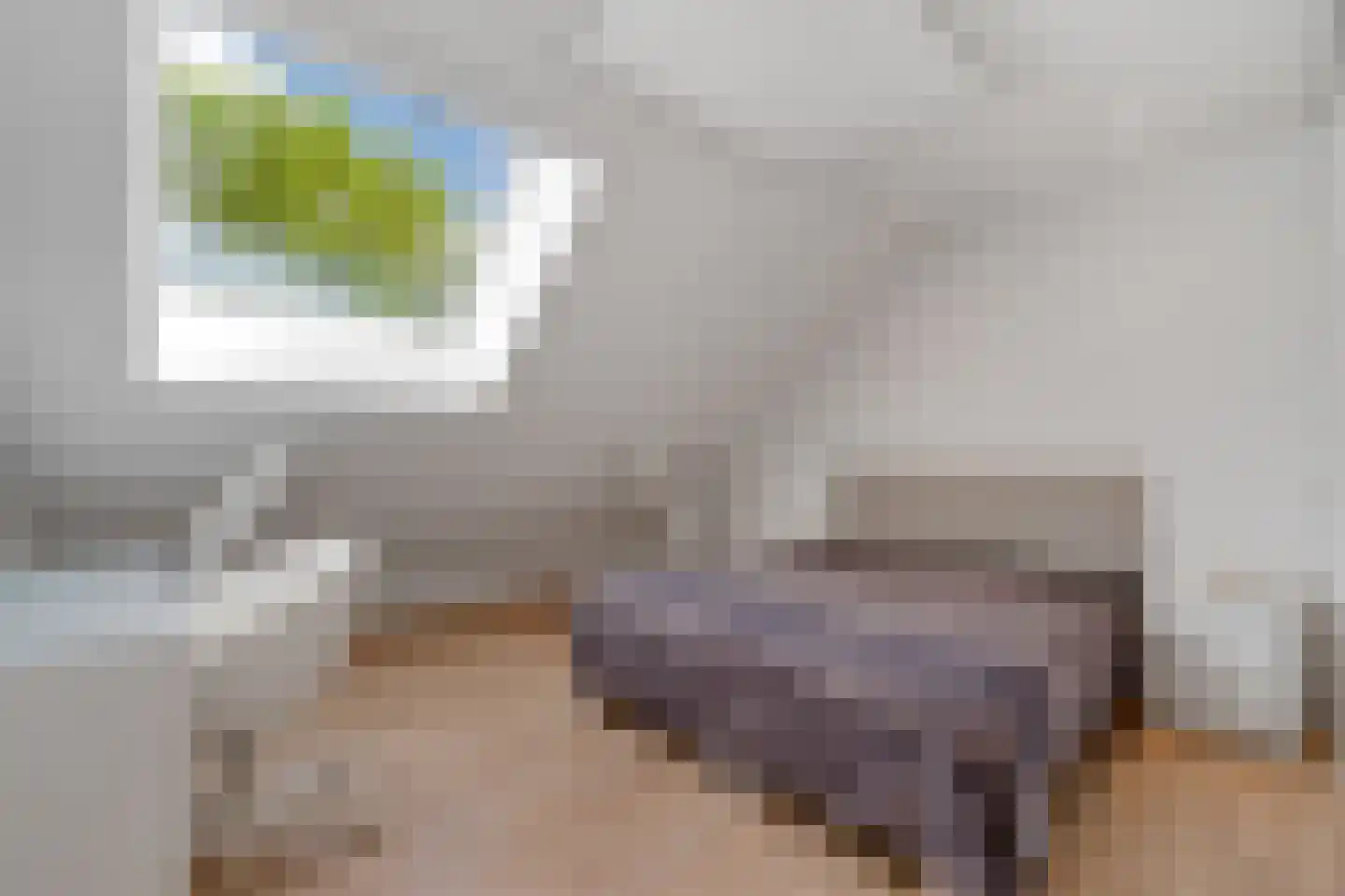 Schrapveen 14 Linde thumbnail 30