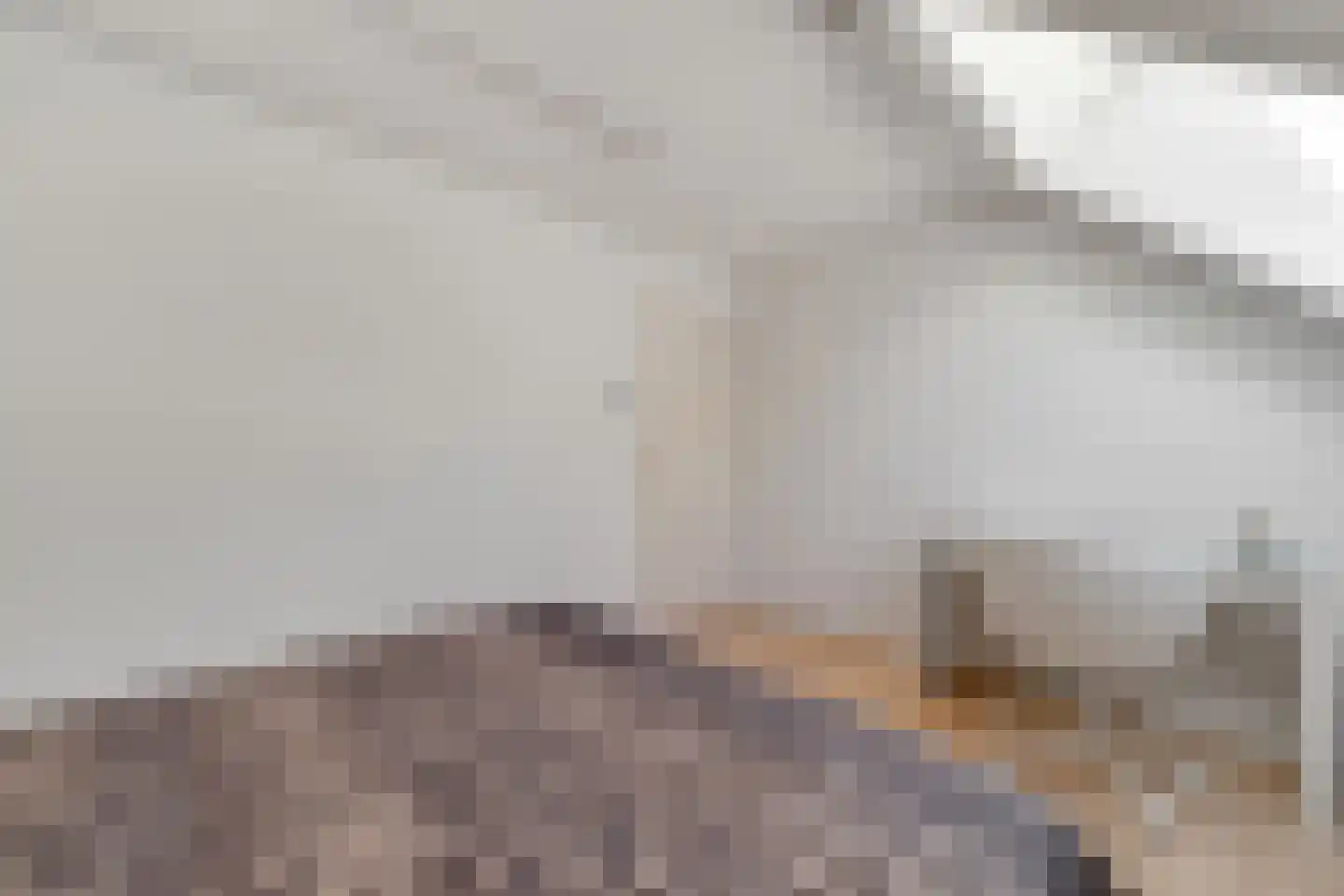Schrapveen 14 Linde thumbnail 31