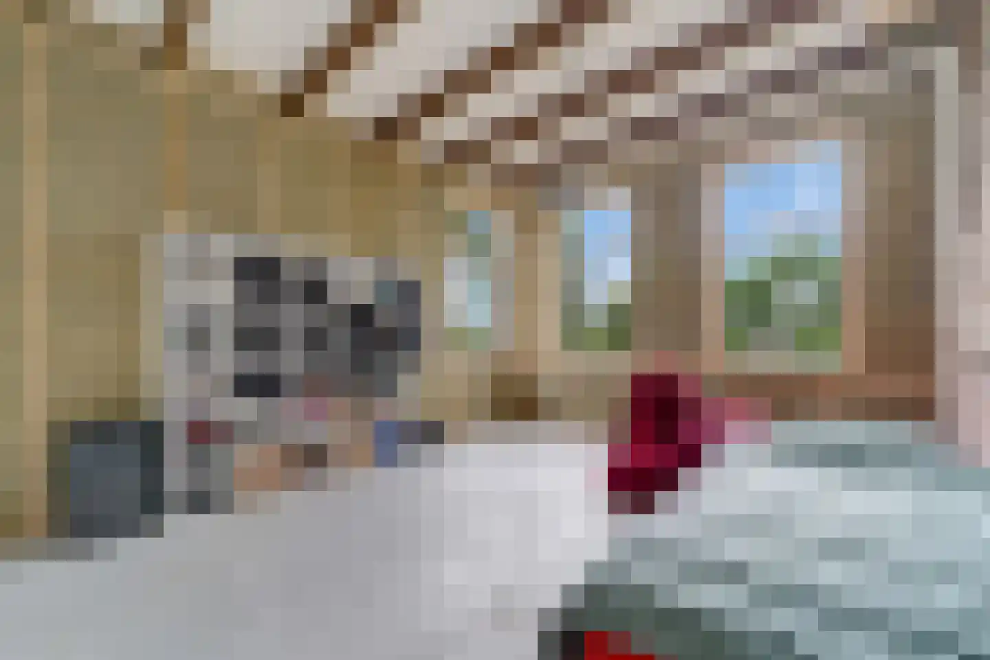 Schrapveen 14 Linde thumbnail 36