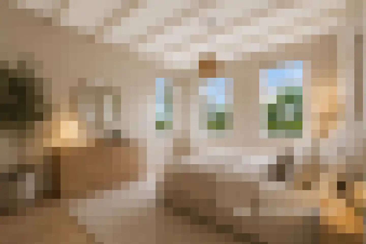 Schrapveen 14 Linde thumbnail 37