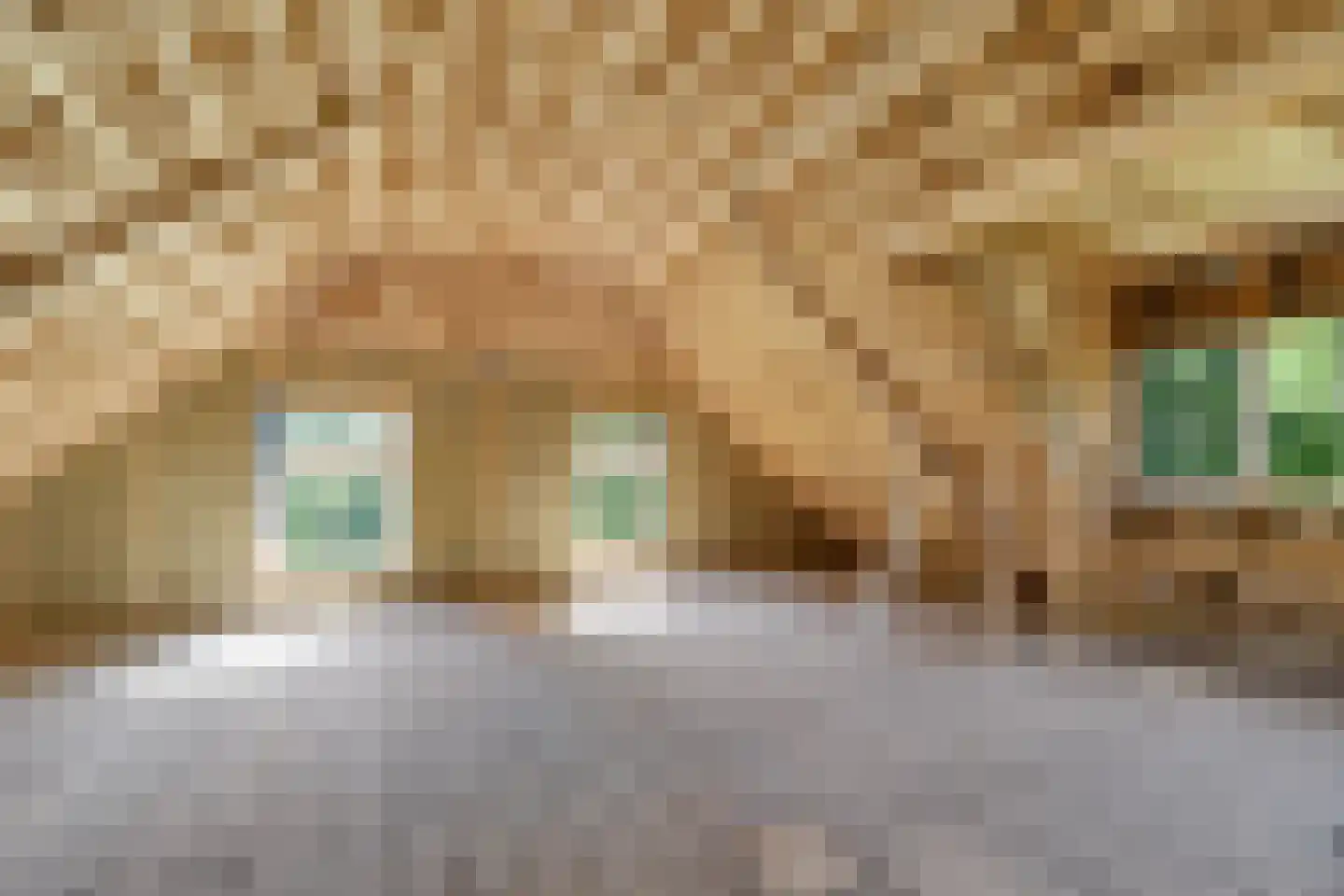 Schrapveen 14 Linde thumbnail 38