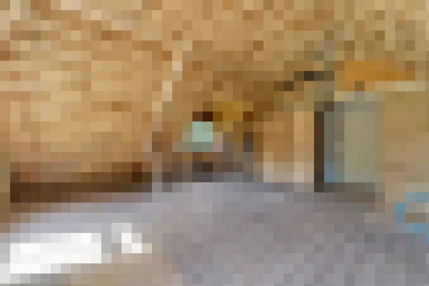 Schrapveen 14 Linde thumbnail 39