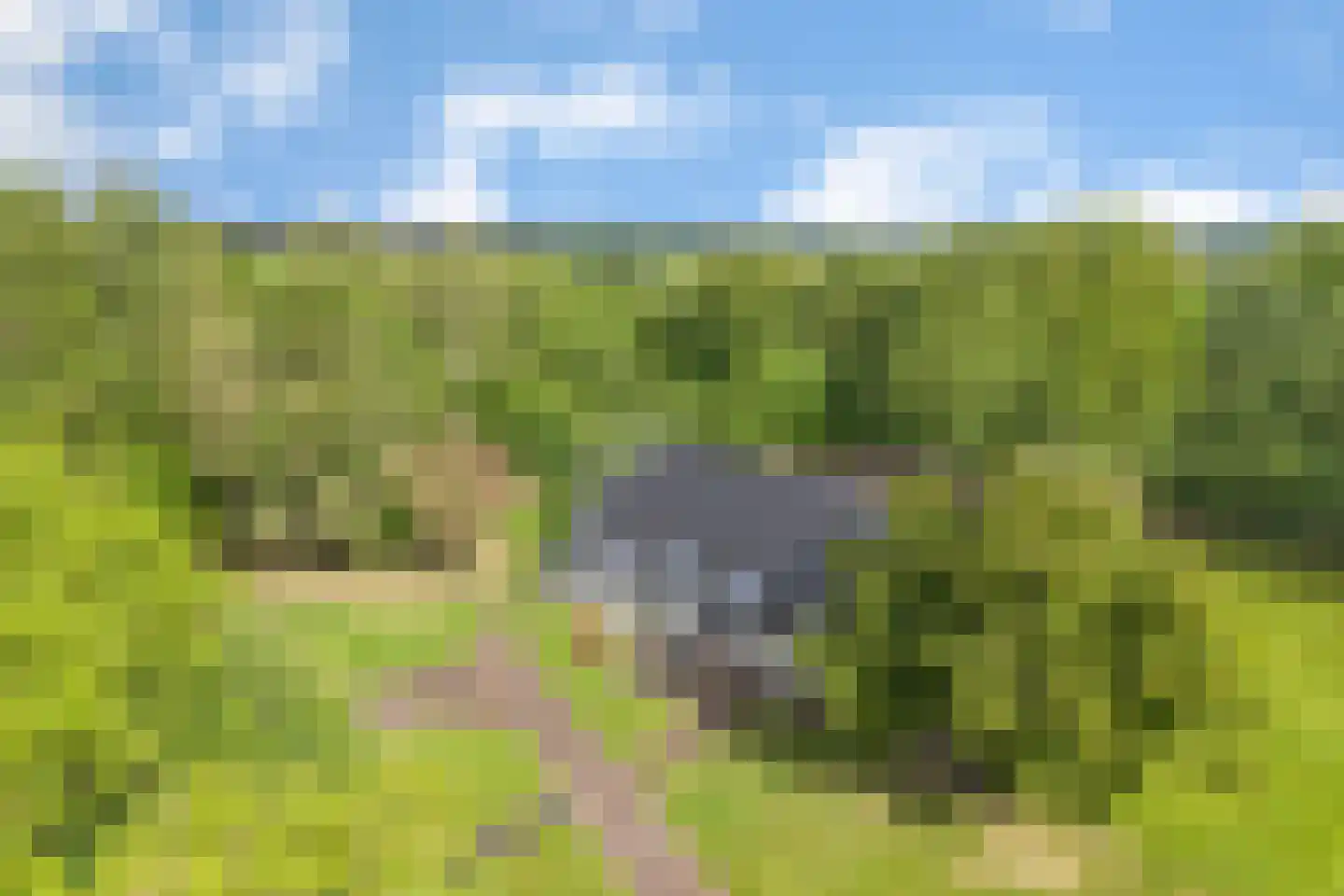 Schrapveen 14 Linde thumbnail 4