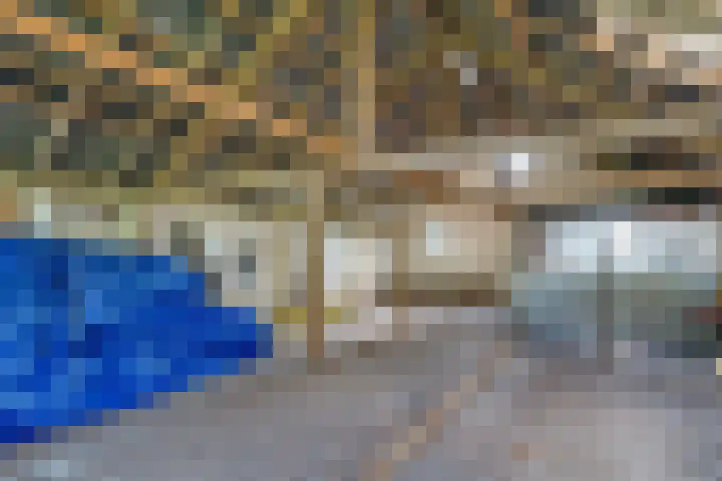 Schrapveen 14 Linde thumbnail 40