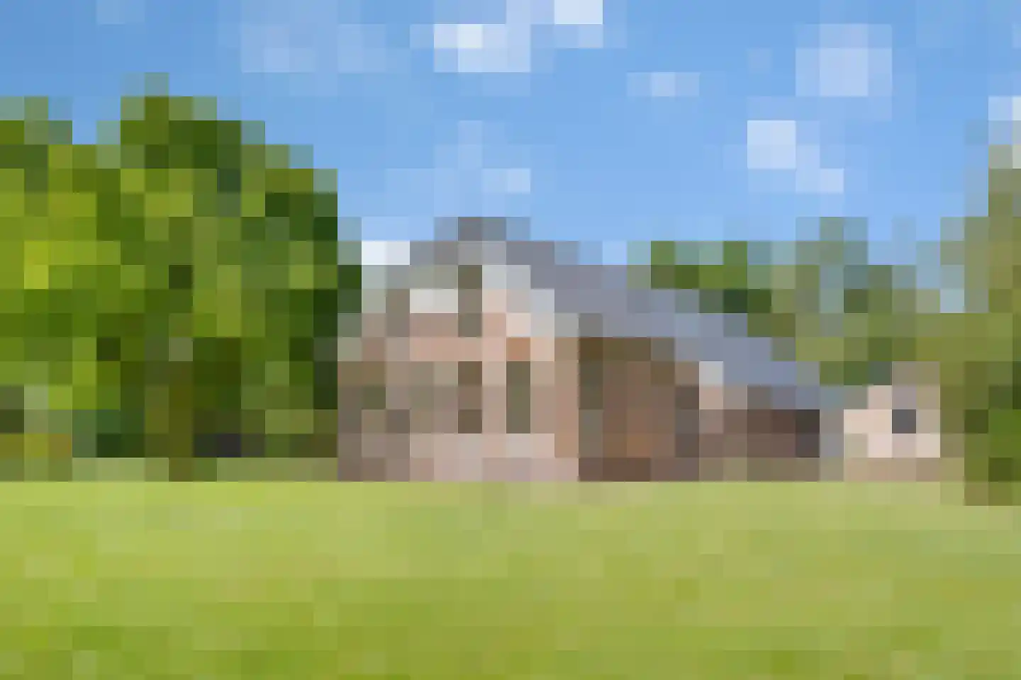 Schrapveen 14 Linde thumbnail 44