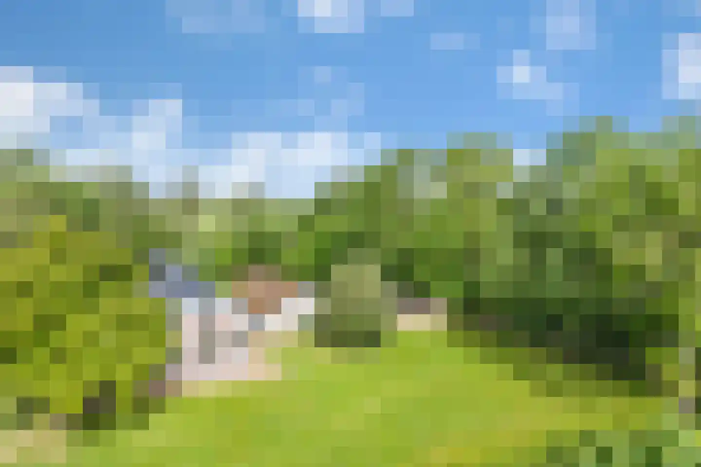 Schrapveen 14 Linde thumbnail 45