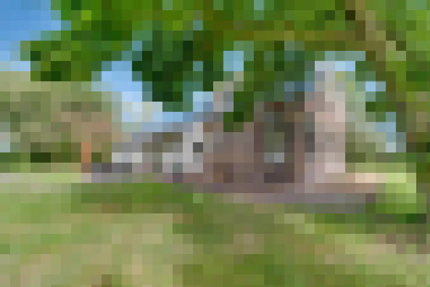 Schrapveen 14 Linde thumbnail 46