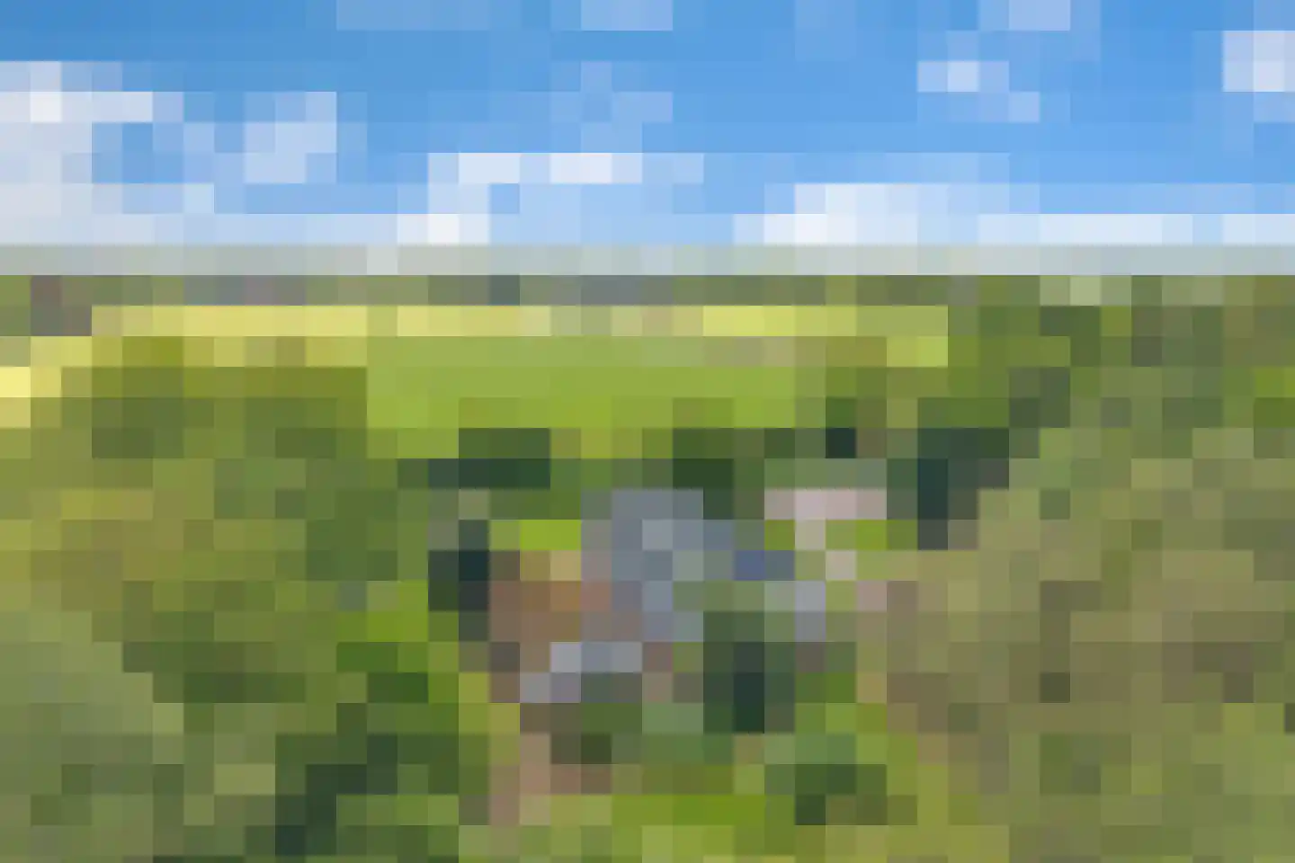 Schrapveen 14 Linde thumbnail 48